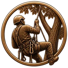 Symbol für den Arbeitsschritt „Wir bauen über das Seil ein“