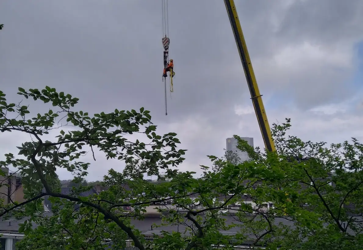 Kranausleger hebt ein abgetrenntes Stammstück über ein Wohngebäude hinweg